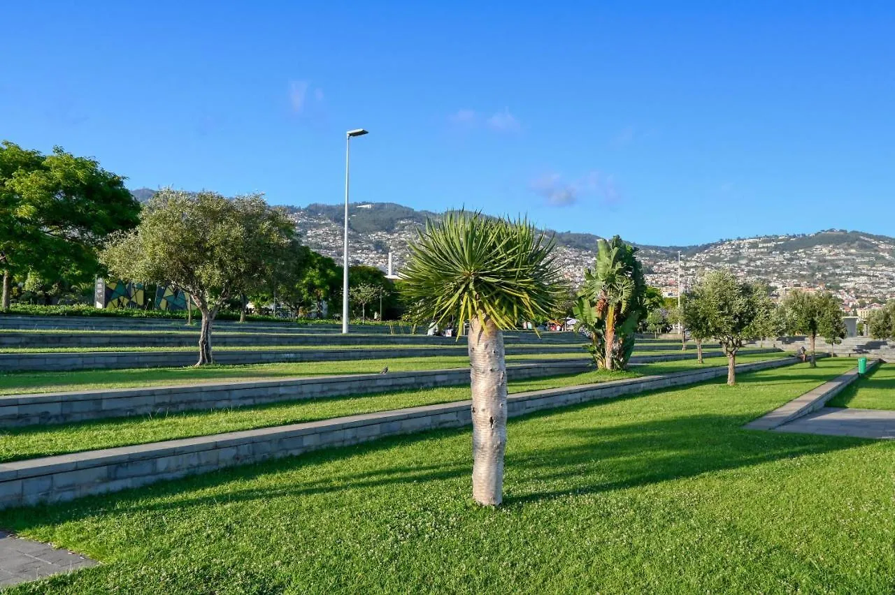 Beco Santa Emilia 3M, A Home In Madeira Funchal  Apartment Funchal (Madeira)